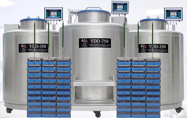 廣口液氮罐ydd儲存干細胞的方式