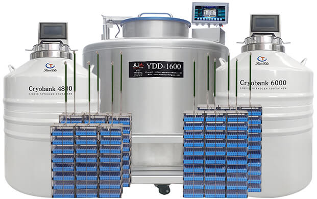 氣相液氮罐YDD與CryoBank的區別