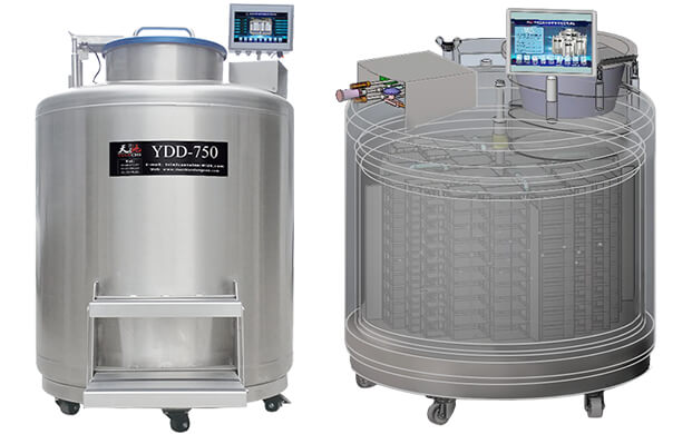 氣相液氮罐是怎么分區的?