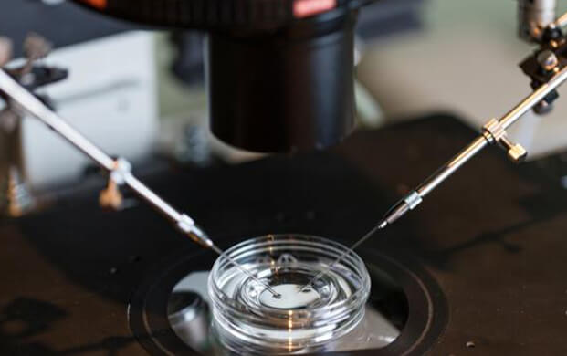 新型IVF技術通過糖分子綁定延長精子存活期