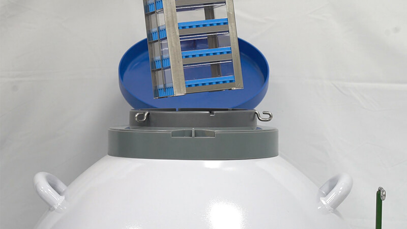 細(xì)菌可以凍在實(shí)驗(yàn)室液氮罐里嗎