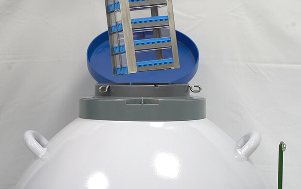 細(xì)菌可以凍在實驗室液氮罐里嗎?